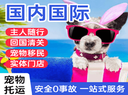 临沧博尚机场快递国际宠物托运 【国